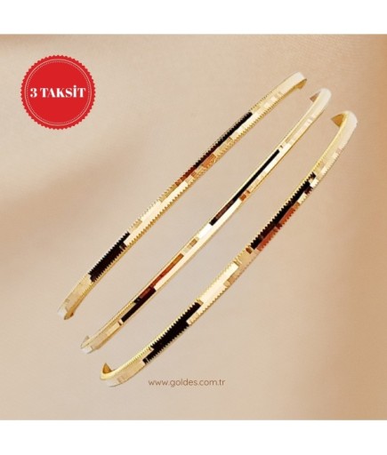 3 Taksit 3 Adet 10 Gram 22 Ayar Ajda Bilezik